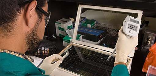 Laboratory testing of livestock specimen.
