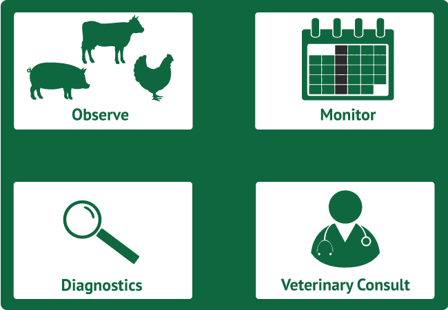Biosecurity detection